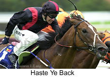 r3hasteyeback.jpg (15187 bytes)