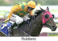 r4rubitano.jpg (10035 bytes)