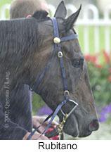 r4rubitano2.jpg (7787 bytes)