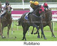 r4rubitano3.jpg (9124 bytes)