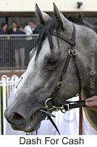 r5dashforcash4.jpg (8640 bytes)