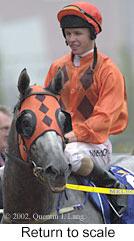 r5rtosc.jpg (8872 bytes)