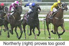 r6northerly2.jpg (11699 bytes)