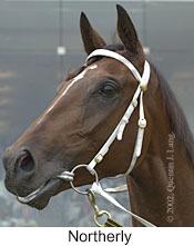 r6northerly3.jpg (8403 bytes)