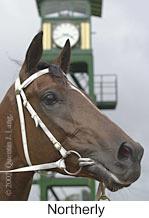 r6northerly4.jpg (7607 bytes)