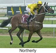 r6northerly5.jpg (9610 bytes)