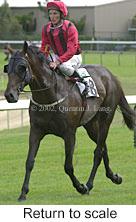 r7rtosc.jpg (8941 bytes)