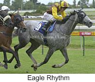 r8eaglerhythm.jpg (10013 bytes)