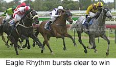 r8eaglerhythm2.jpg (10418 bytes)