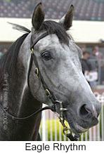 r8eaglerhythm3.jpg (8800 bytes)