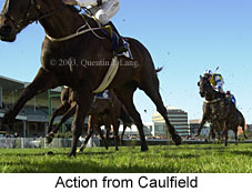 Caulfield (15442 bytes)