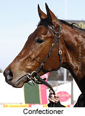 Confectioner (13008 bytes)