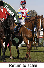 Return to scale (16396 bytes)