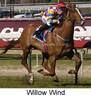 Willow Wind (16420 bytes)