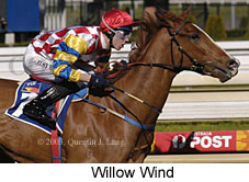 Willow Wind (17430 bytes)