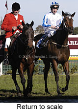 Return to scale (15826 bytes)