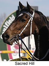 Sacred Hill (13700 bytes)