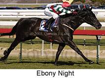 Ebony Night (15643 bytes)