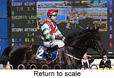 Return to scale (17306 bytes)