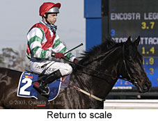 Return to scale (14972 bytes)