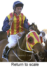 Return to scale (13703 bytes)