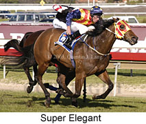 Super Elegant (19231 bytes)