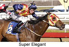 Super Elegant (17634 bytes)