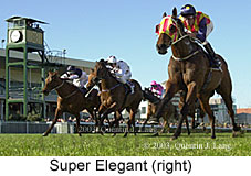 Super Elegant (16865 bytes)