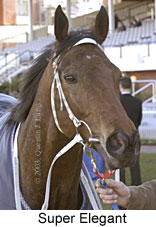 Super Elegant (13732 bytes)