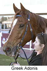 Greek Adonis (11911 bytes)