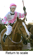 Return to scale (11724 bytes)