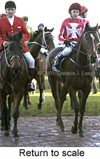 Return to scale (14752 bytes)