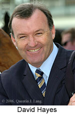 David Hayes (14772 bytes)