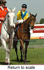 Return to scale (14008 bytes)