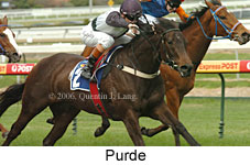 Purde (14772 bytes)