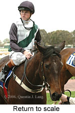 Return to scale (14008 bytes)