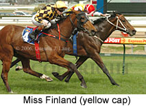 Miss Finland (14772 bytes)