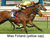 Miss Finland (14772 bytes)