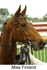 Miss Finland (14772 bytes)
