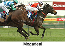 Megadeal (14772 bytes)