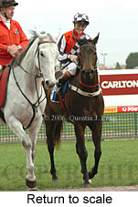 Return to scale (14008 bytes)