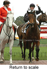 Return to scale (14008 bytes)