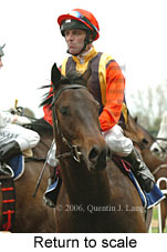 Return to scale (14008 bytes)