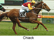 Chiack (14772 bytes)