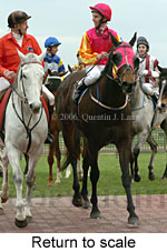 Return to scale (14008 bytes)