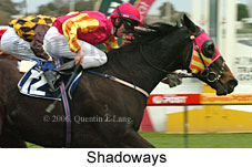 Shadoways (14772 bytes)