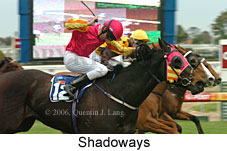 Shadoways (14772 bytes)