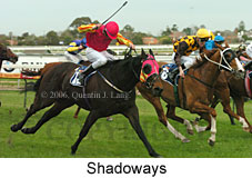 Shadoways (14772 bytes)