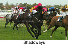 Shadoways (14772 bytes)