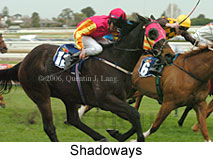 Shadoways (14772 bytes)